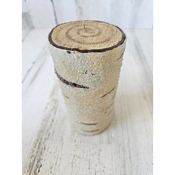 Pottery Barn candle birch glass sugared tree decor - Picture 2 of 8